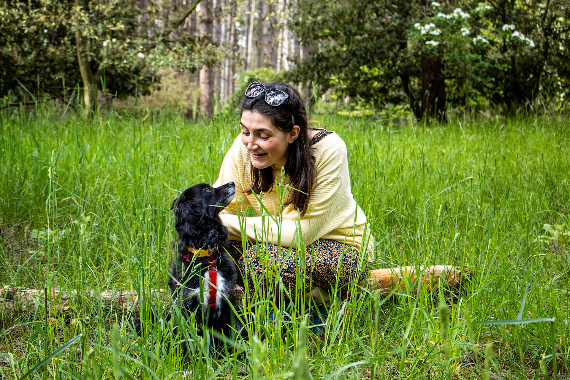 Dog behaviourist Norfolk with dog in the grass in